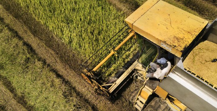 Bayer muss im Milliardenstreit um Schadensersatzforderungen im Zusammenhang mit Glyphosat weiter bangen.