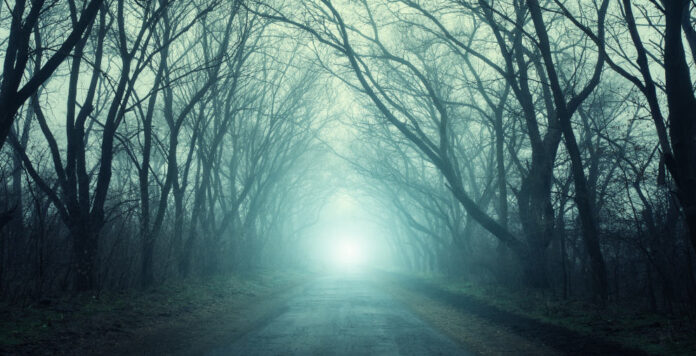 Viele Investoren und Stimmrechtsberater kommunizieren nicht klar, was sie von den Vergütungsberichten erwarten.