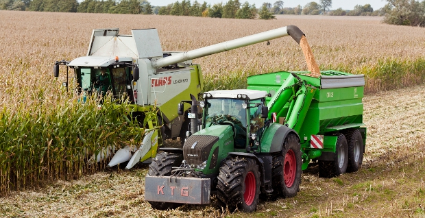 Immer mehr Dominosteine des KTG-Agrar-Konzerns fallen um. Jetzt hat die Beschaffungstochter Delta Agrar Insolvenz angemeldet. Die Folgen für die Gläubiger sind bitter.