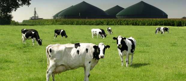 Für den Biogasanlagenbauer MT-Energie hat das Insolvenzverfahren offiziell begonnen. Ziel ist die Übernahme des gesamten Geschäftsbetriebs durch einen Asset Deal.