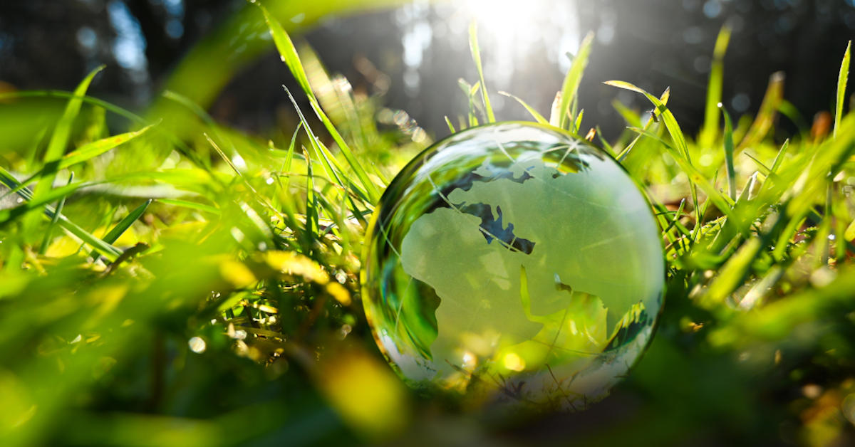 Investitionen in Nachhaltigkeit stehen in vielen Unternehmen auf der Agenda. Doch sie müssen finanziert werden.