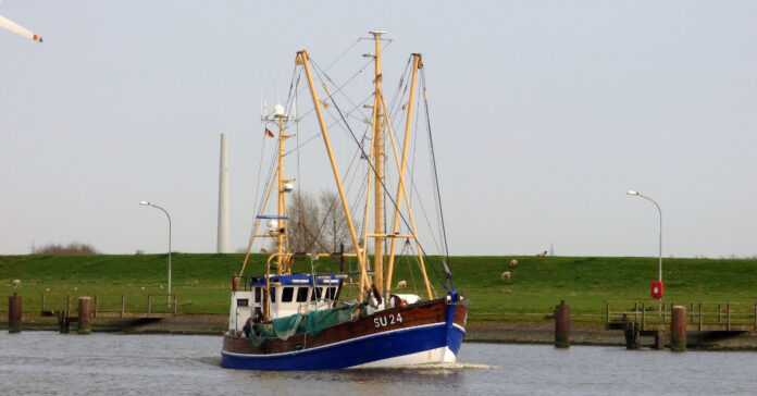 Der Krabbenkutter „Birte“ beschäftigte die Community. Foto: Zeitfracht