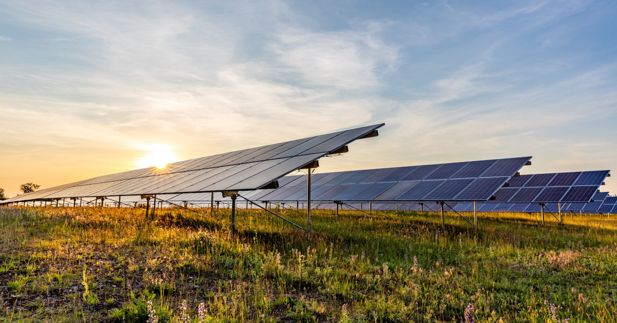 Der Maschinenbauer Singulus ist unter anderem im Bereich Photovoltaik tätig. Foto: Björn Wylezich - stock.adobe.com