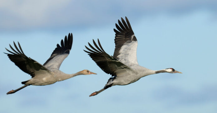 Die spannendsten M&A-Deals der Woche im FINANCE-Rückblick.