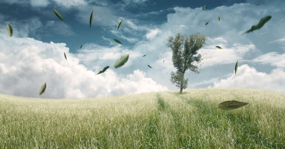 Ganz schön viel Gegenwind erfährt der Sustainable-Finance-Markt derzeit. Foto: lassedesignen - stock.adobe.com