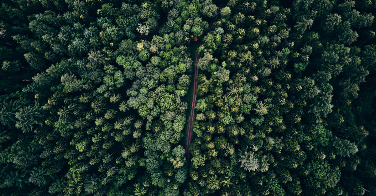 Das KI-Start-up Black Forest Labs gehört zu den am schnellsten wachsenden Start-ups in Europa. Foto: Tobias – stock.adobe.com