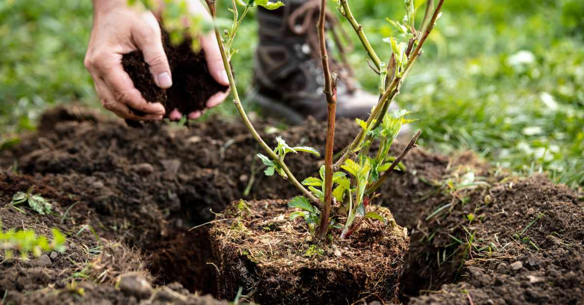 Der Werttreiberbaum macht bei der werttreiberbasierten Planung die Wirkungsketten transparent. Foto: M.Dörr & M.Frommherz - adobe.stock.com
