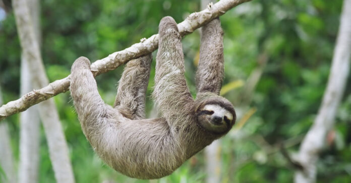 Foto: photographee2000 – stock.adobe.com