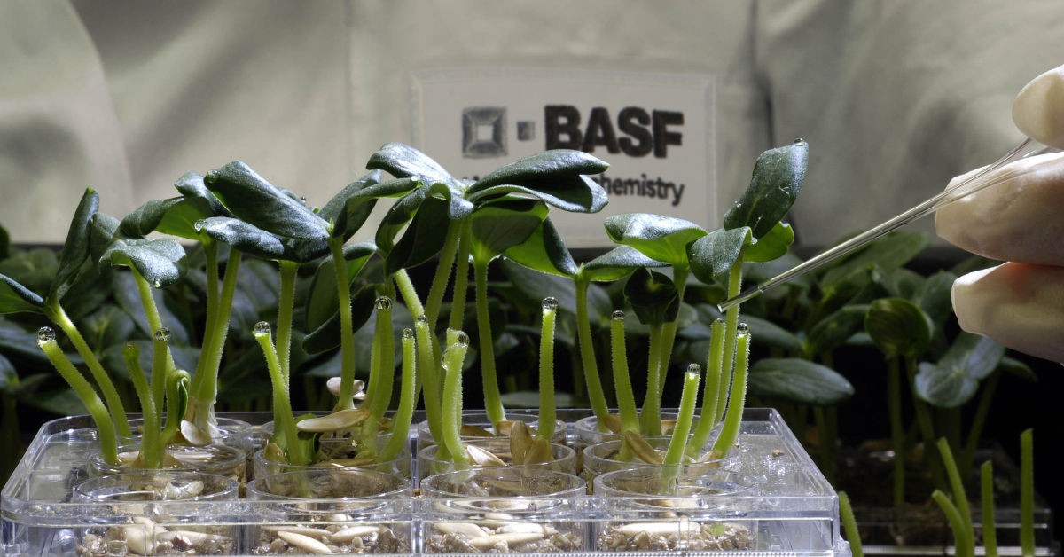 BASF Agricultural Solutions hat mit einer neuen Absatz- und Umsatzplanung sowie einem Preismanagement-Tool Preise harmonisiert und die Profitabilität gesteigert. Foto: BASF SE